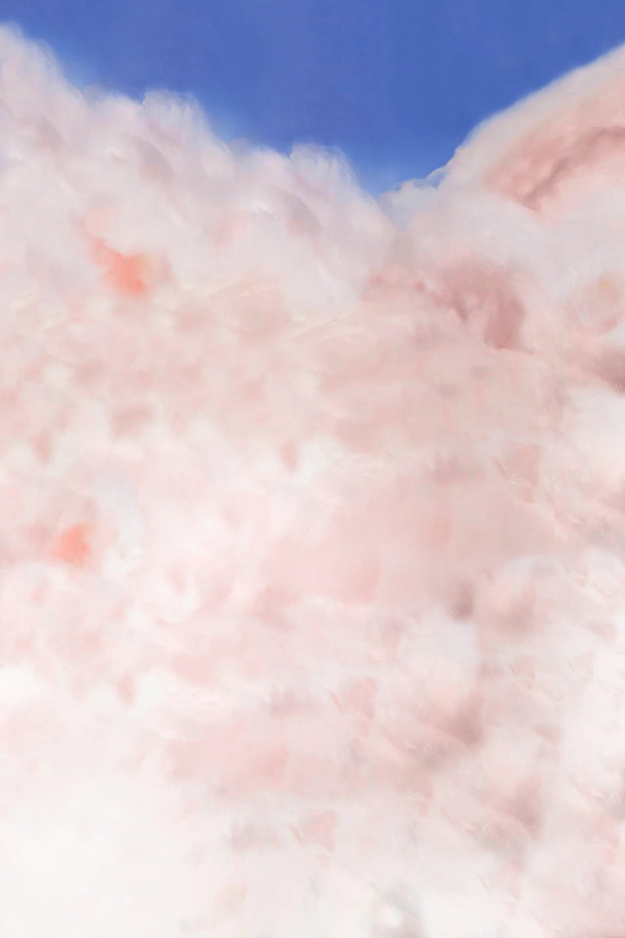 Katy CATalog Collector’s Edition Boxset Katy Perry Official Store